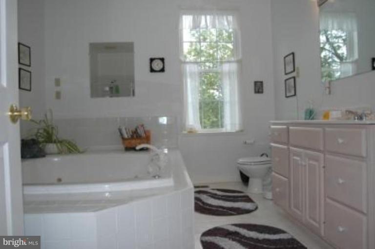 2079 Winchester Road Delaplane, VA 20144 - Photo 9 of 11 Master Bath