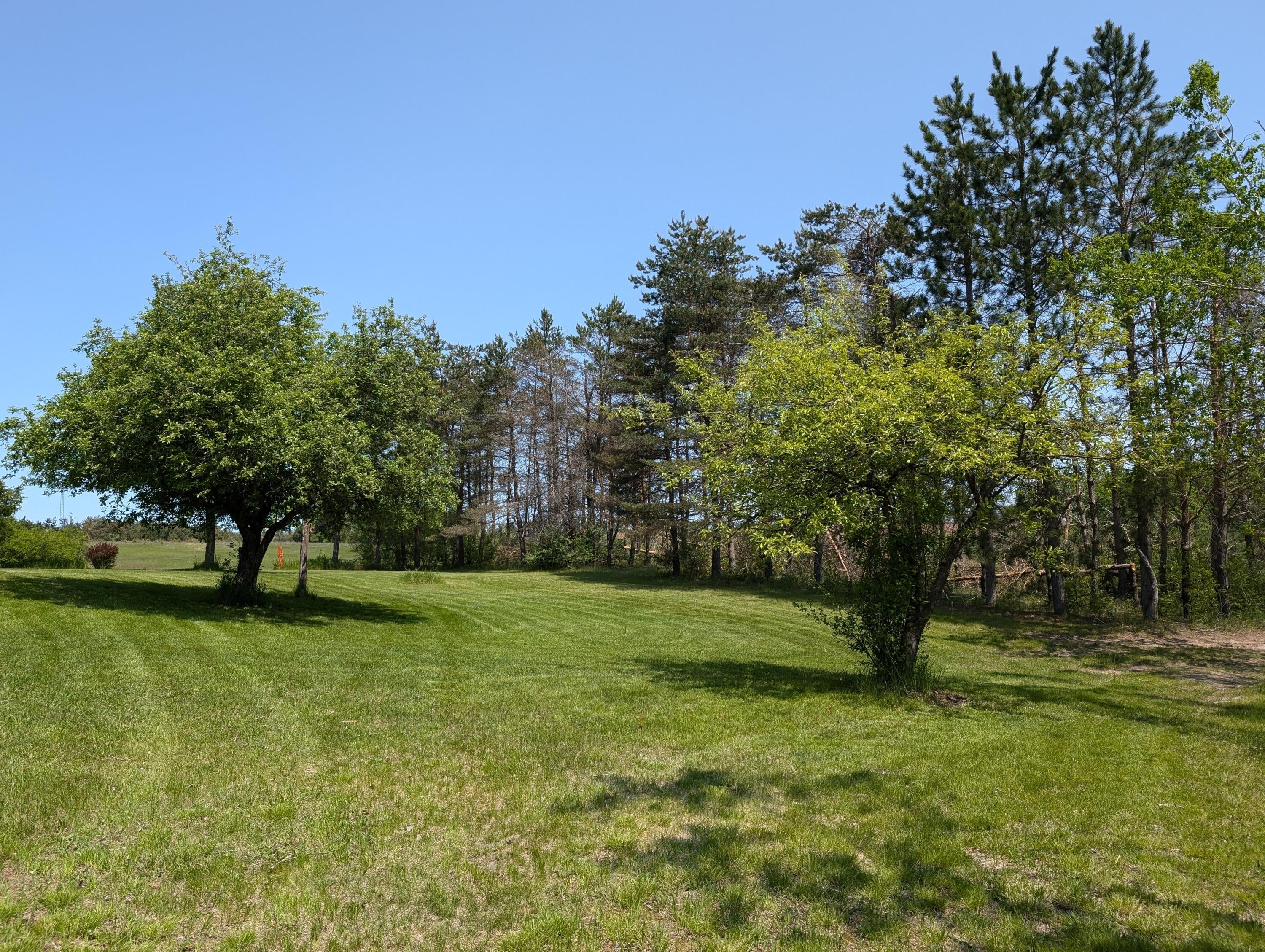11179 Hossler Road Atlanta, MI 49709 - Photo 68 of 100 PXL_20250601_172727619