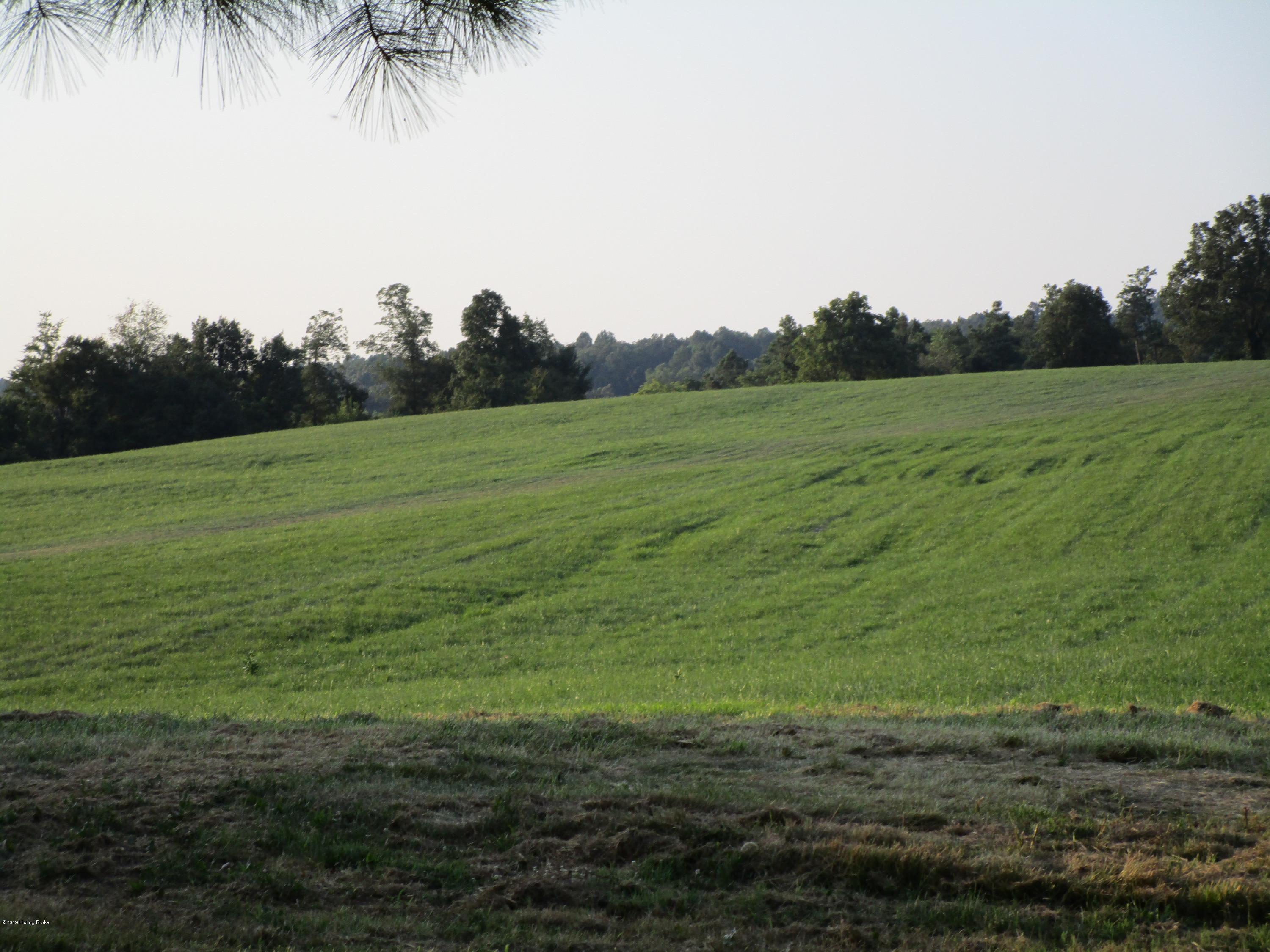 1171 Post-Hopewell Road Caneyville, KY 42721 - Photo 35 of 55 IMG_0173