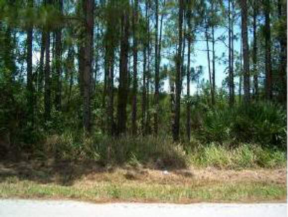 0 Digby Road Southeast Palm Bay, FL 32909 - Photo 1 of 1 Primary Photo