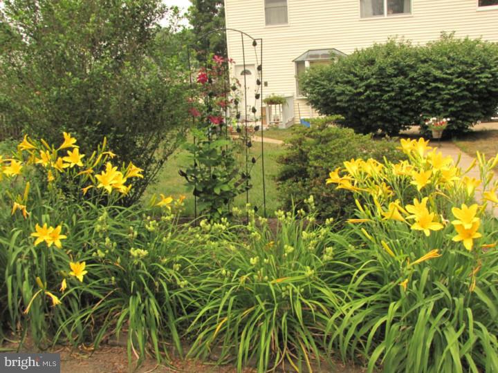 601 Continental Road Hatboro, PA 19040 - Photo 10 of 12 Garden