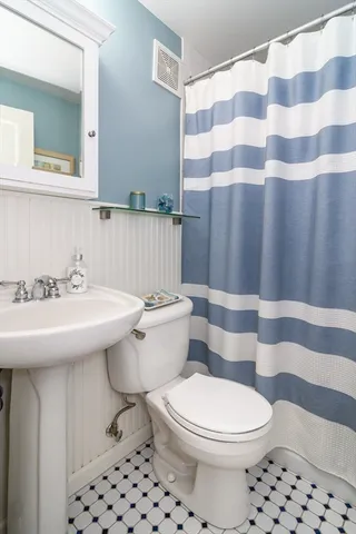 a bathroom with a sink a toilet a mirror and shower curtain