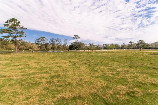 $1,325,000 | 57012 Old U S 51, Amite, LA 70422