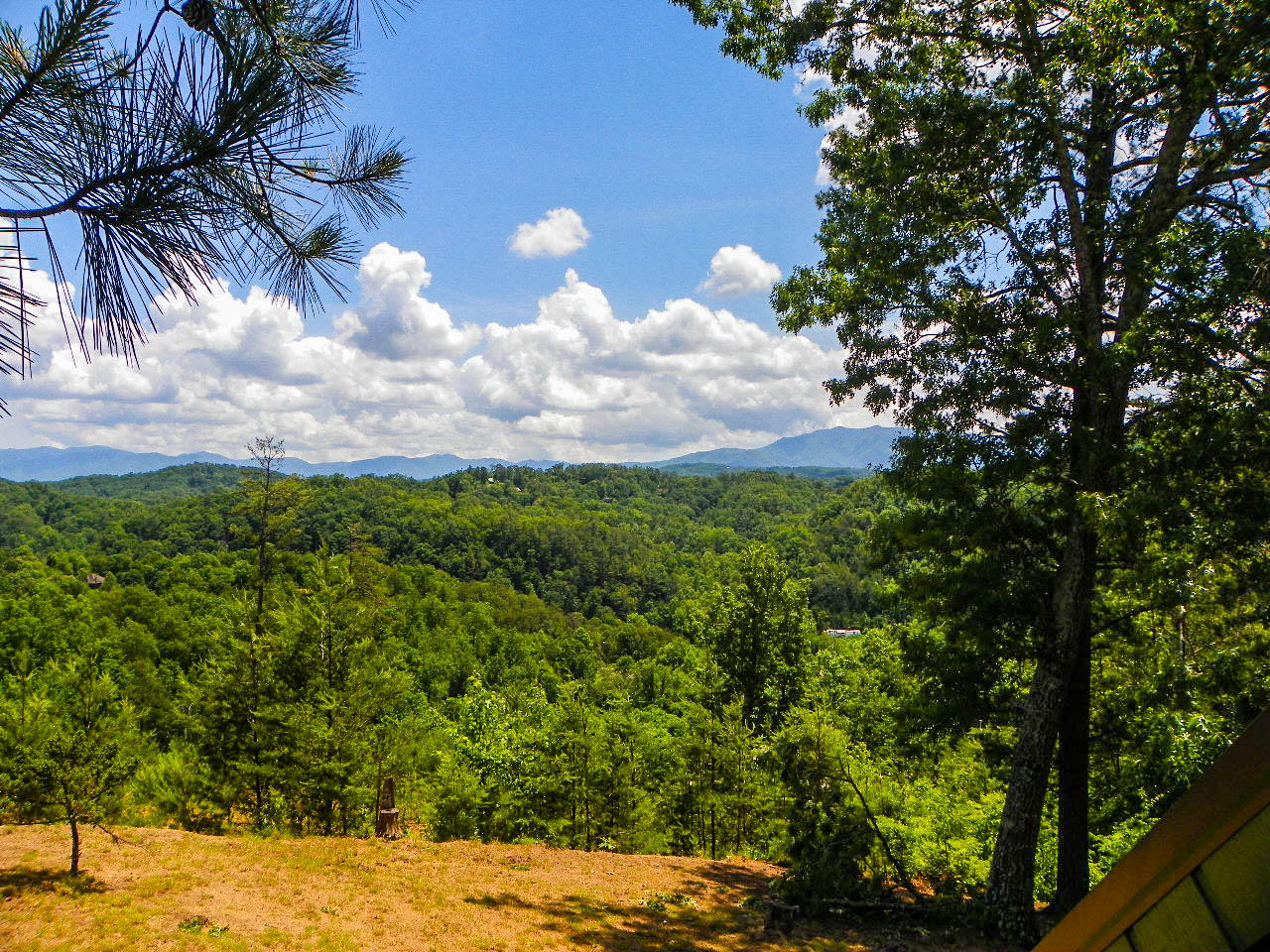 1724 Stinnett Road Sevierville, TN 37876 - Photo 20 of 36 103_0097