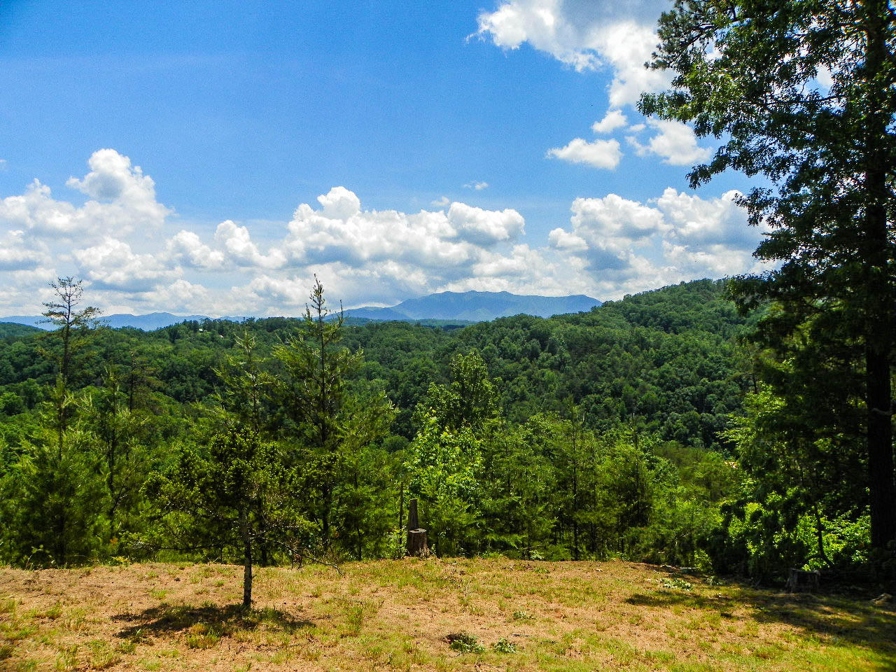 1724 Stinnett Road Sevierville, TN 37876 - Photo 22 of 36 103_0066