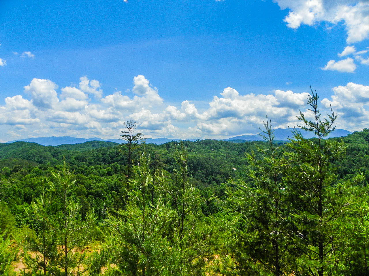 1724 Stinnett Road Sevierville, TN 37876 - Photo 23 of 36 103_0067