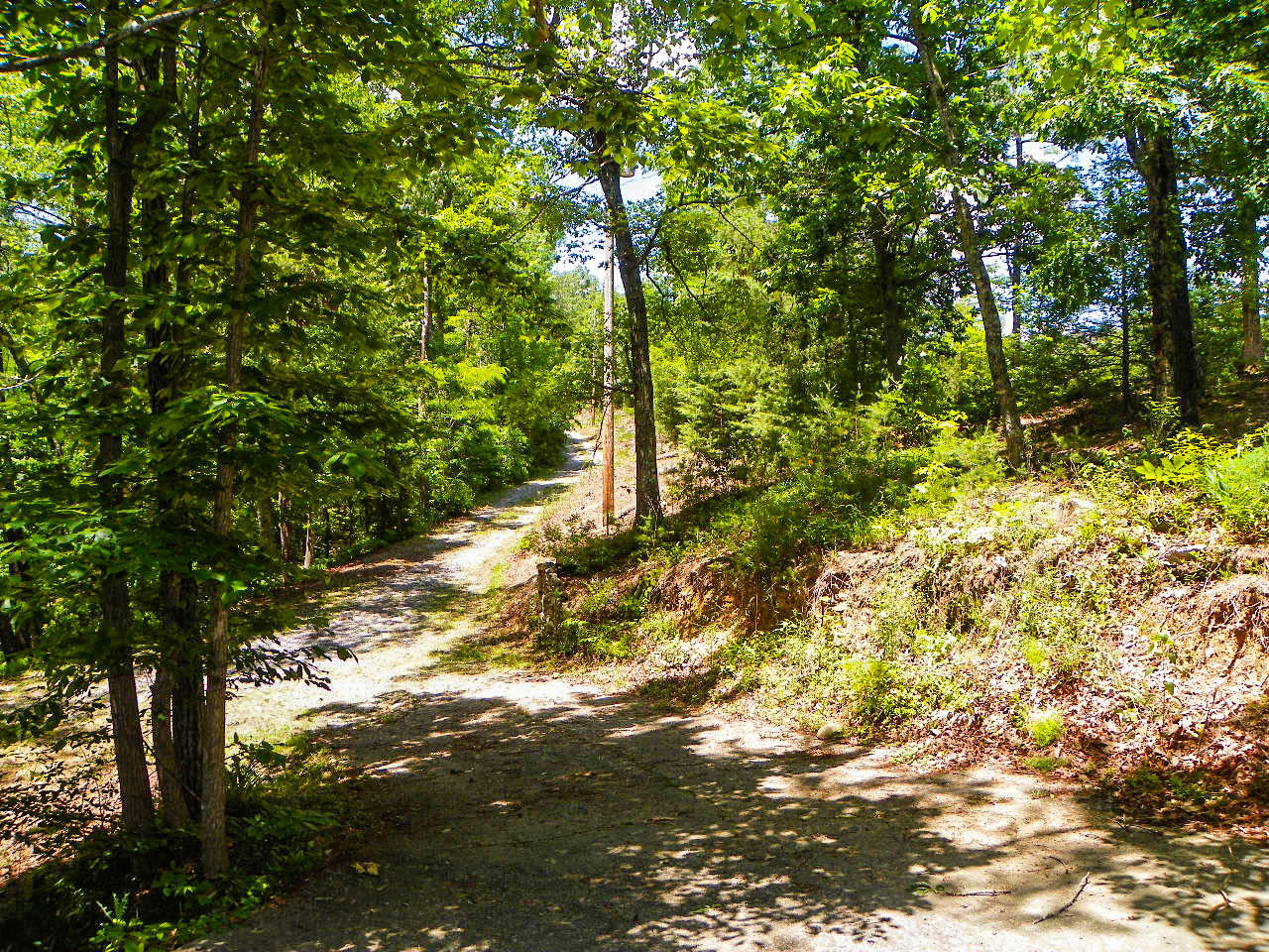 1724 Stinnett Road Sevierville, TN 37876 - Photo 34 of 36 103_0138