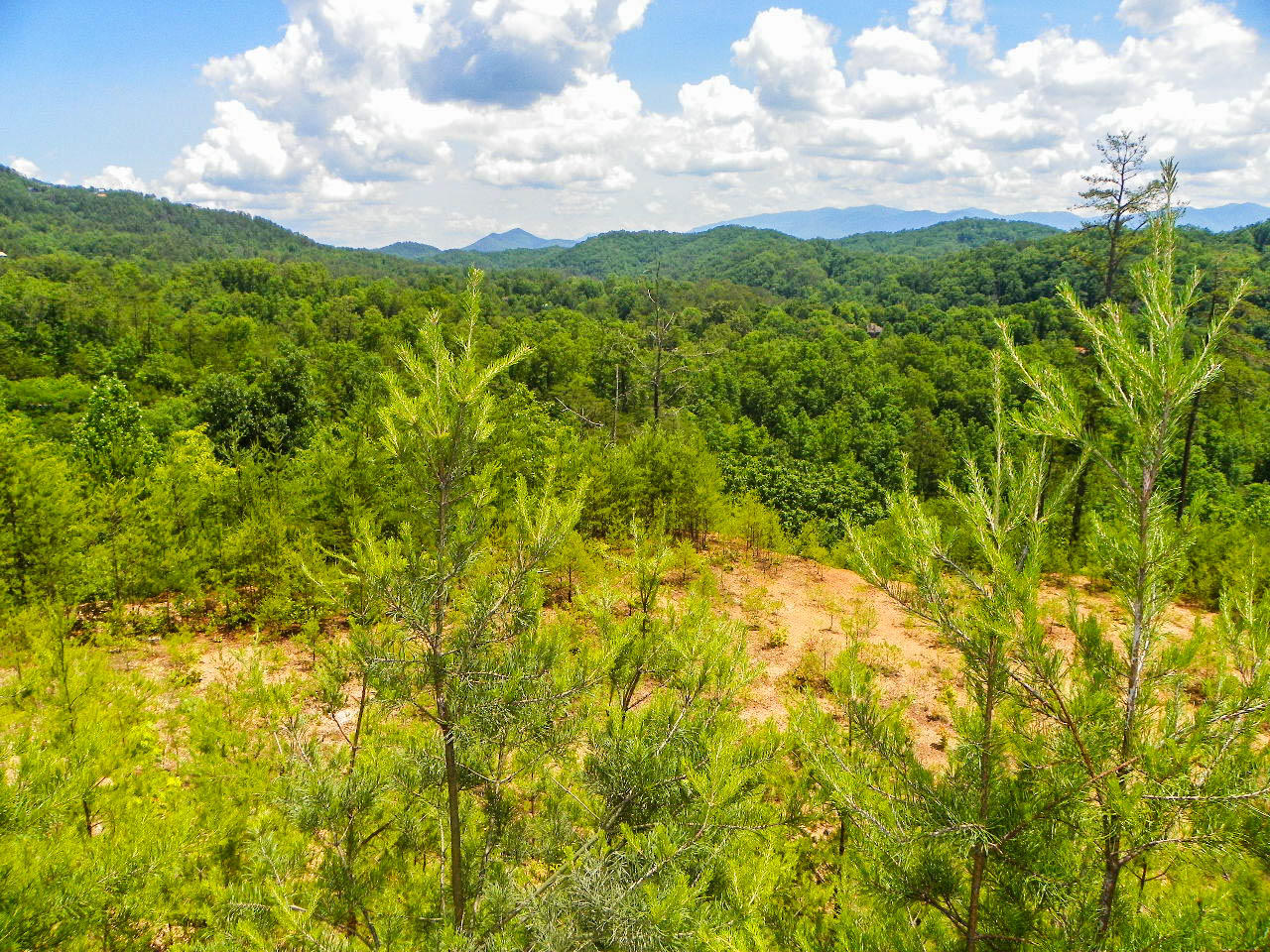 1724 Stinnett Road Sevierville, TN 37876 - Photo 35 of 36 103_0068
