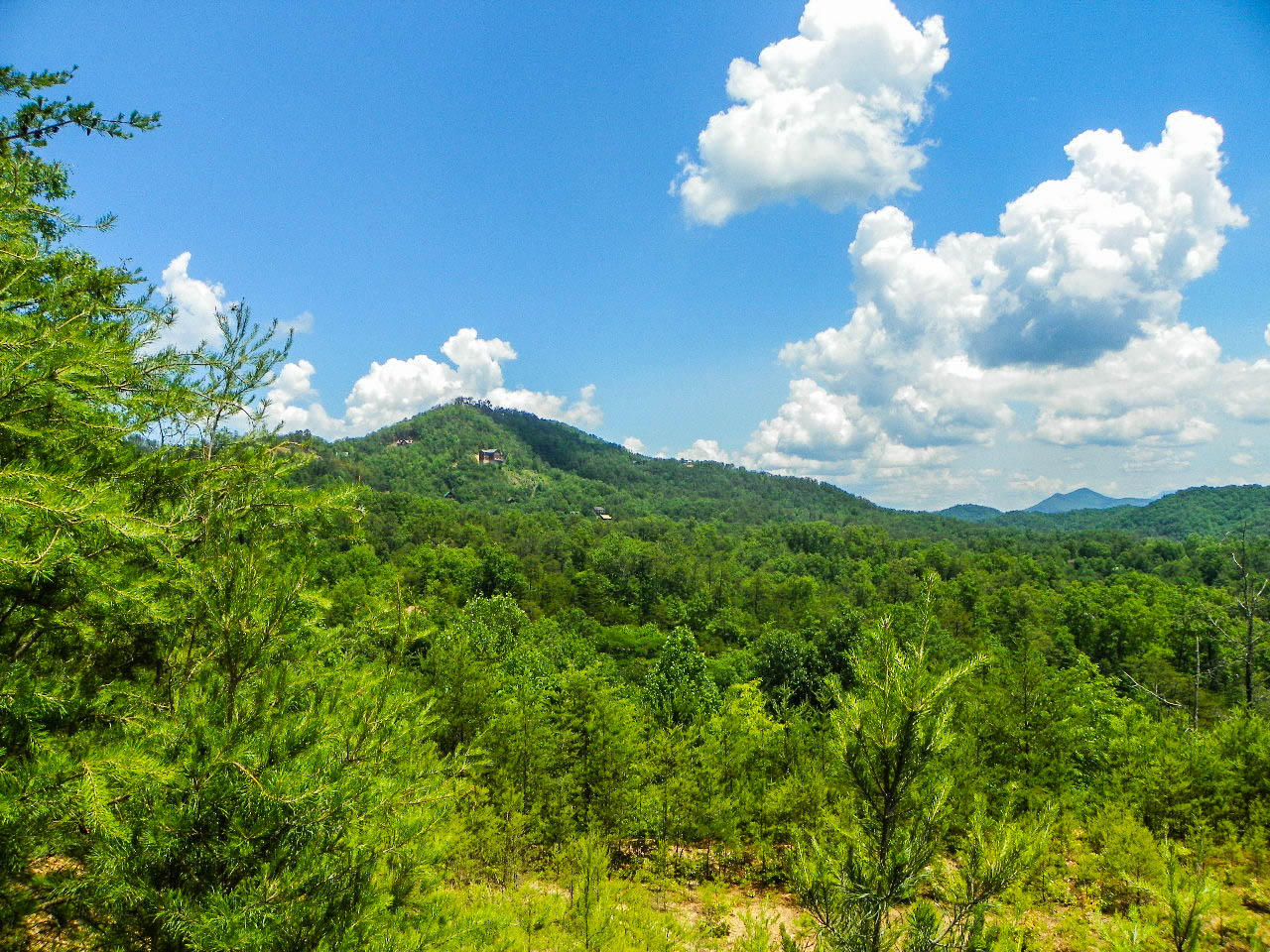 1724 Stinnett Road Sevierville, TN 37876 - Photo 36 of 36 103_0069