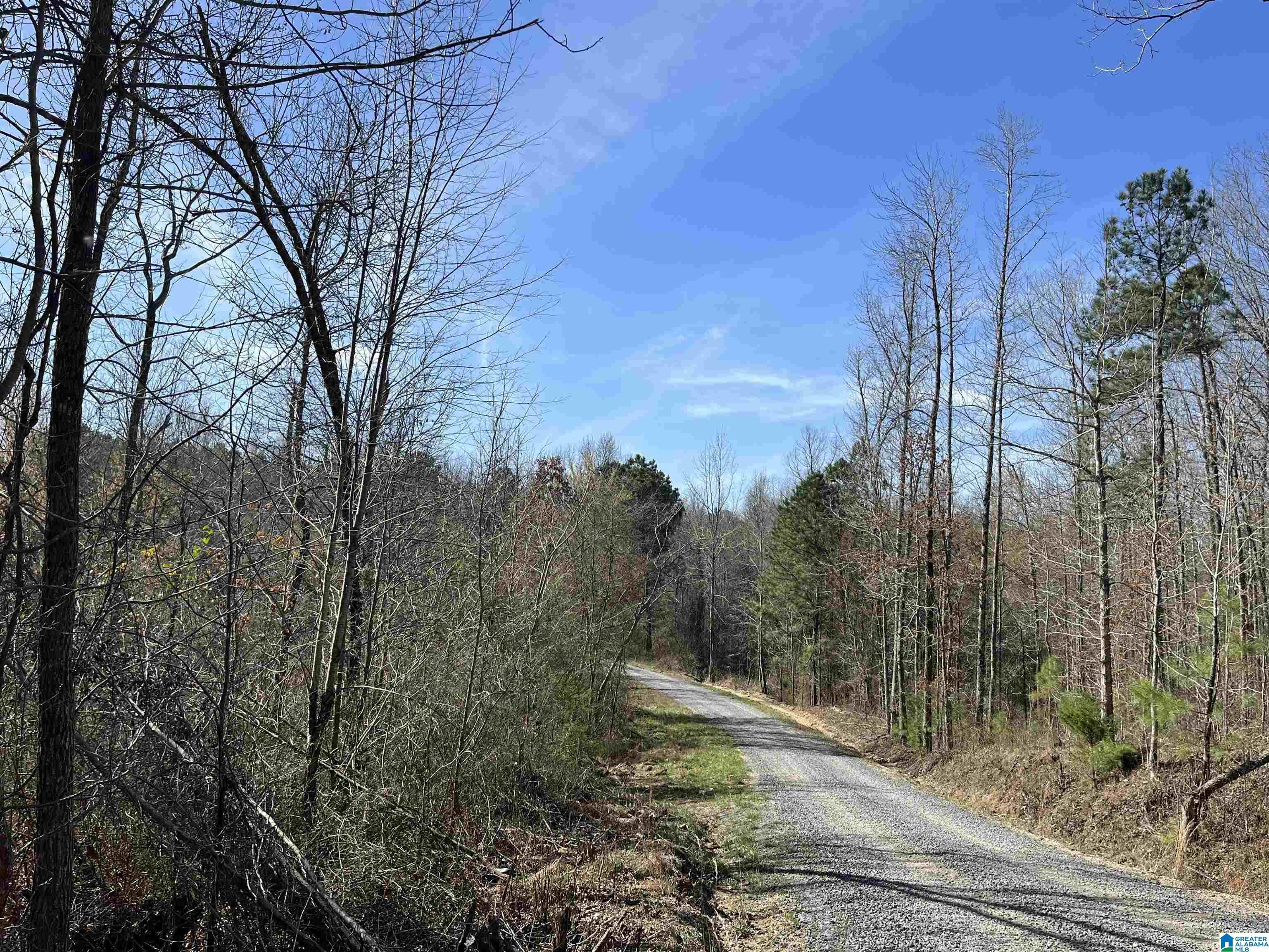 0 Tidwell Circle Remlap, AL 35133 - Photo 3 of 5