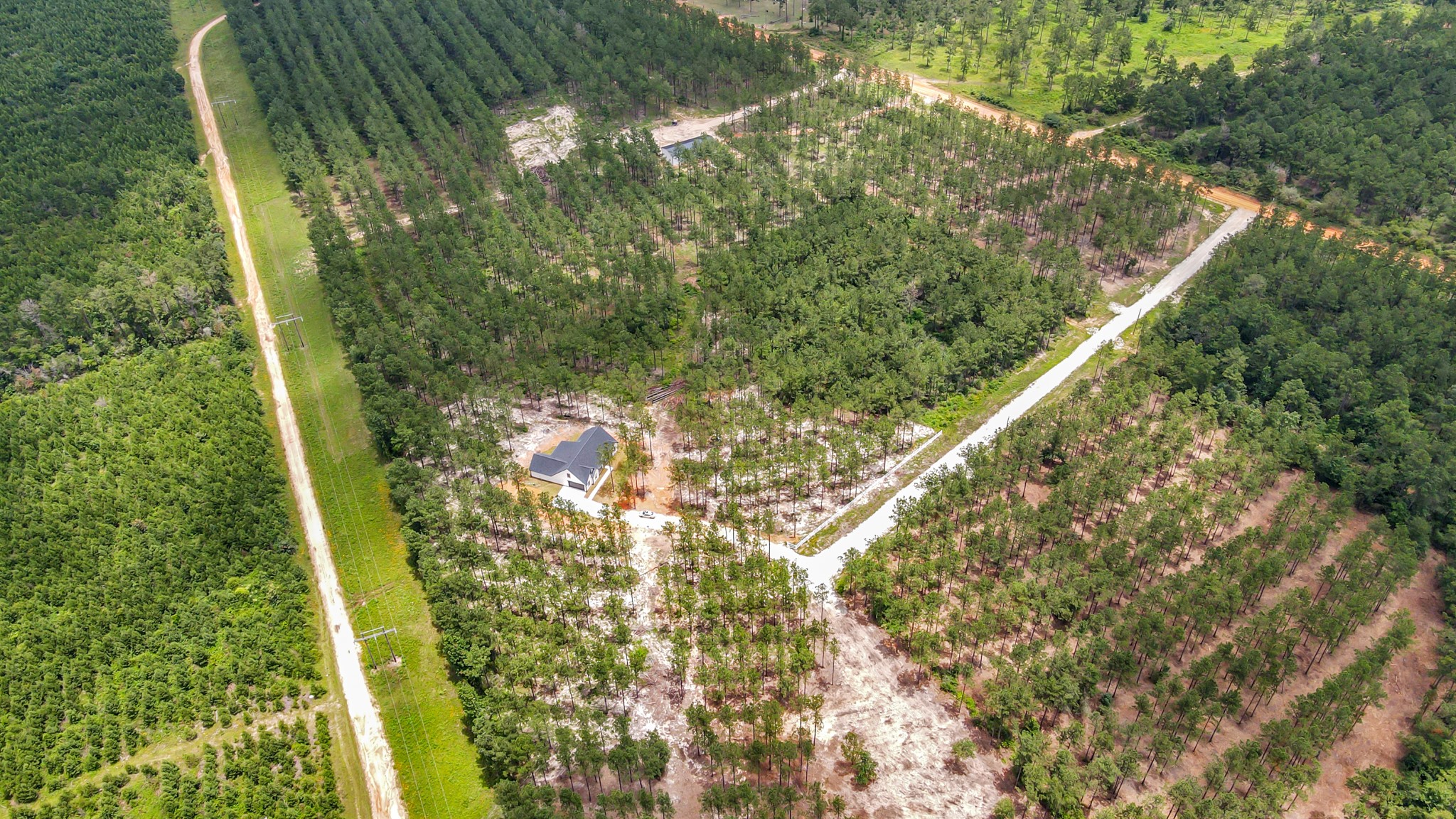 644 Richardson Road East Livingston, TX 77351 - Photo 10 of 43