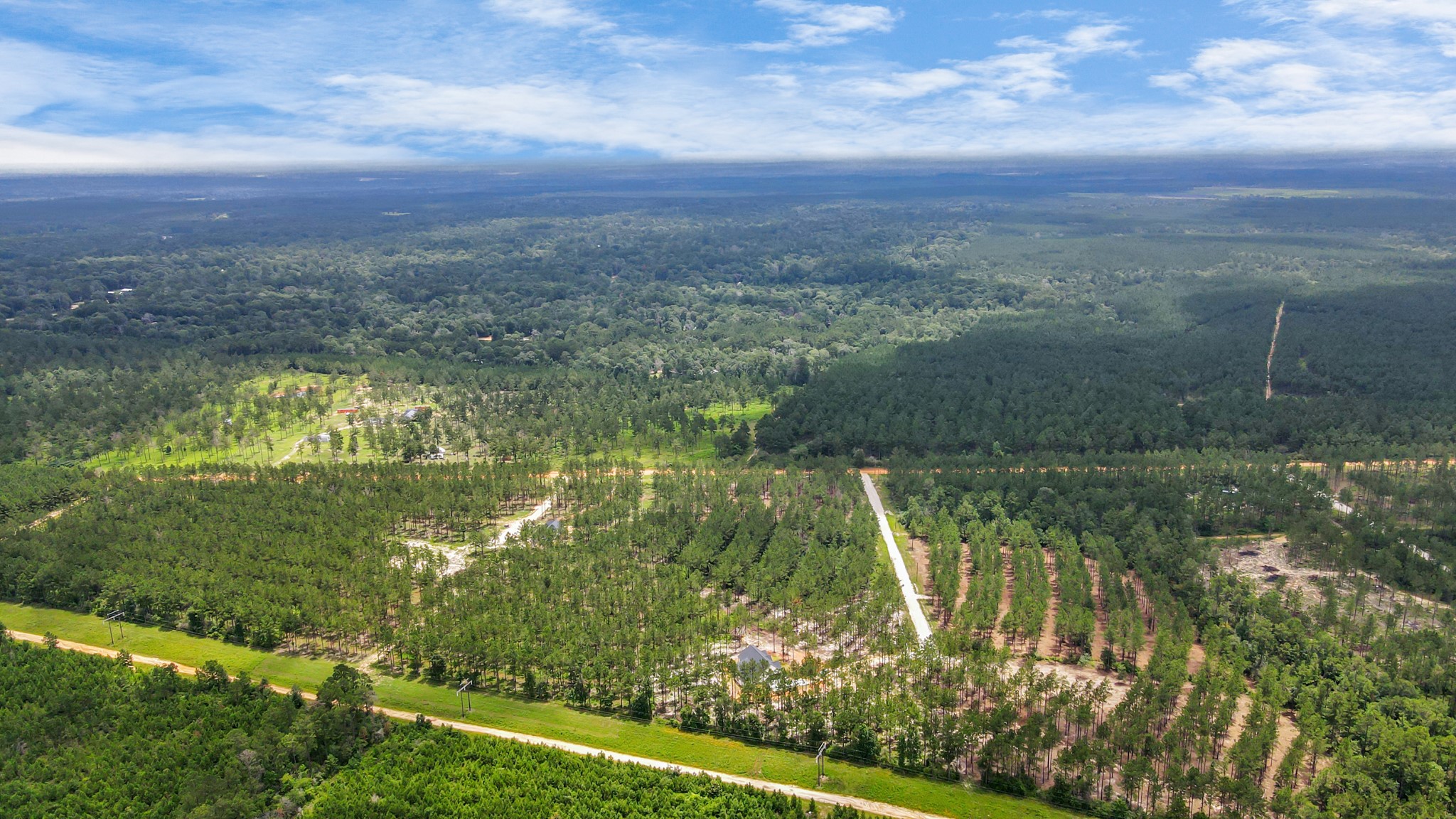 644 Richardson Road East Livingston, TX 77351 - Photo 11 of 43