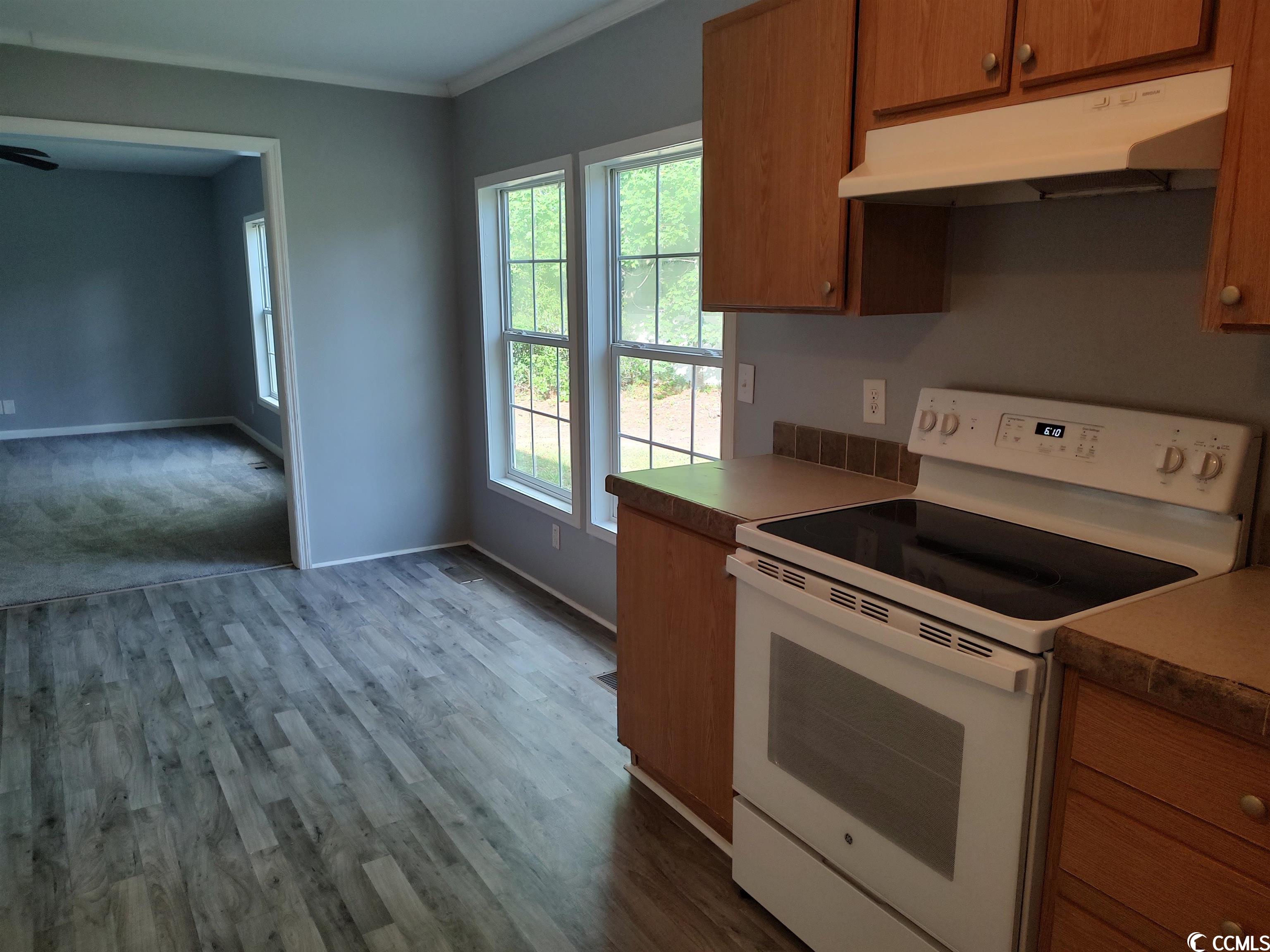 2814 Old Charleston Road Georgetown, SC 29440 - Photo 4 of 18