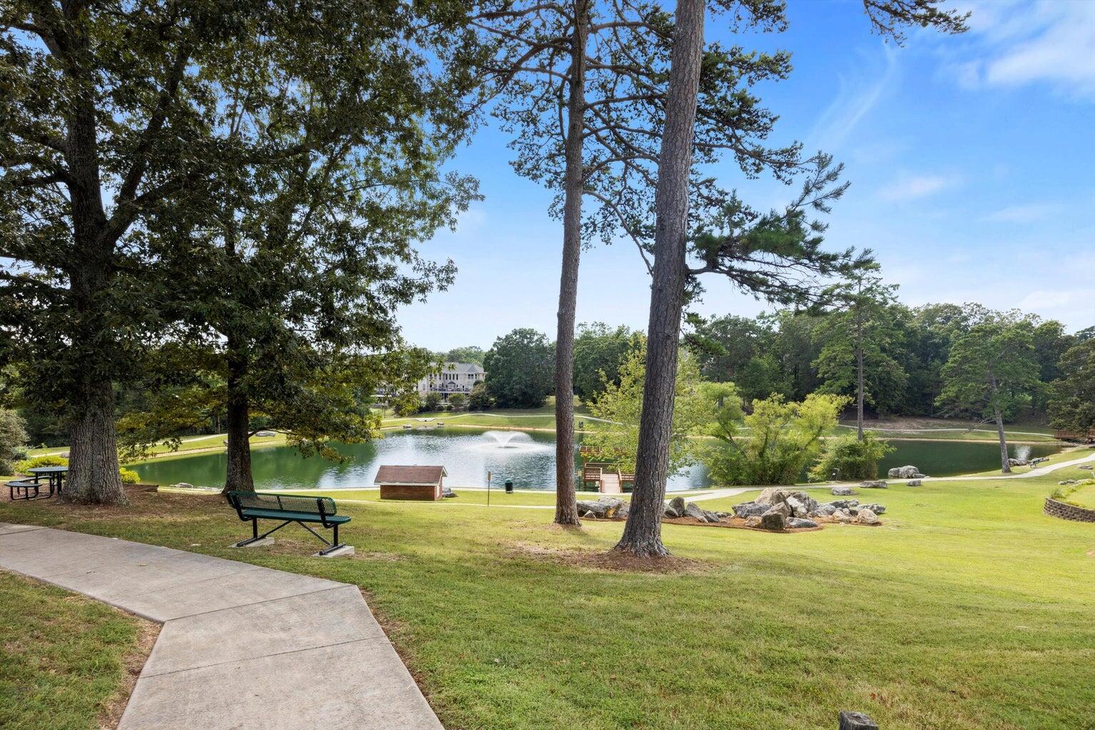 9349 Wandering Way Ooltewah, TN 37363 - Photo 49 of 51 pond 2