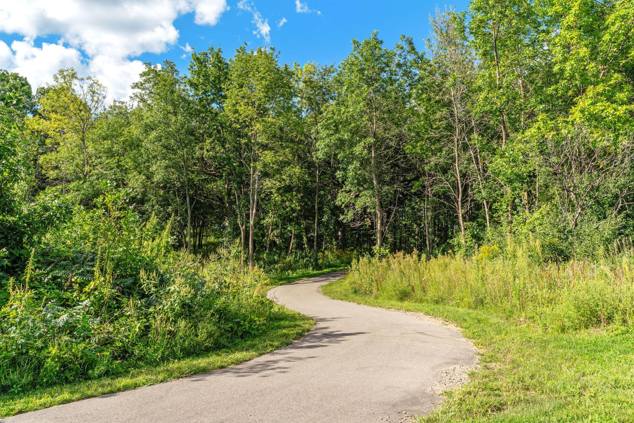 4089 Vista View Drive Chaska, MN 55318 - Photo 65 of 86