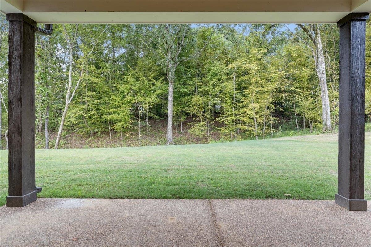 80 Fairview Trail Byhalia, MS 38611 - Photo 22 of 25 a view of a trees in a yard