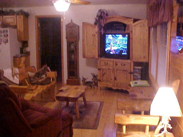 1235 Villamont Church Road Blue Ridge, VA 24064 - Photo 8 of 8 a living room with furniture a window and a flat screen tv