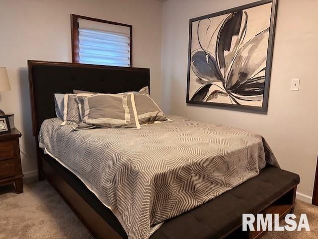 143 Prospect Street Jacksonville, IL 62650 - Photo 24 of 55