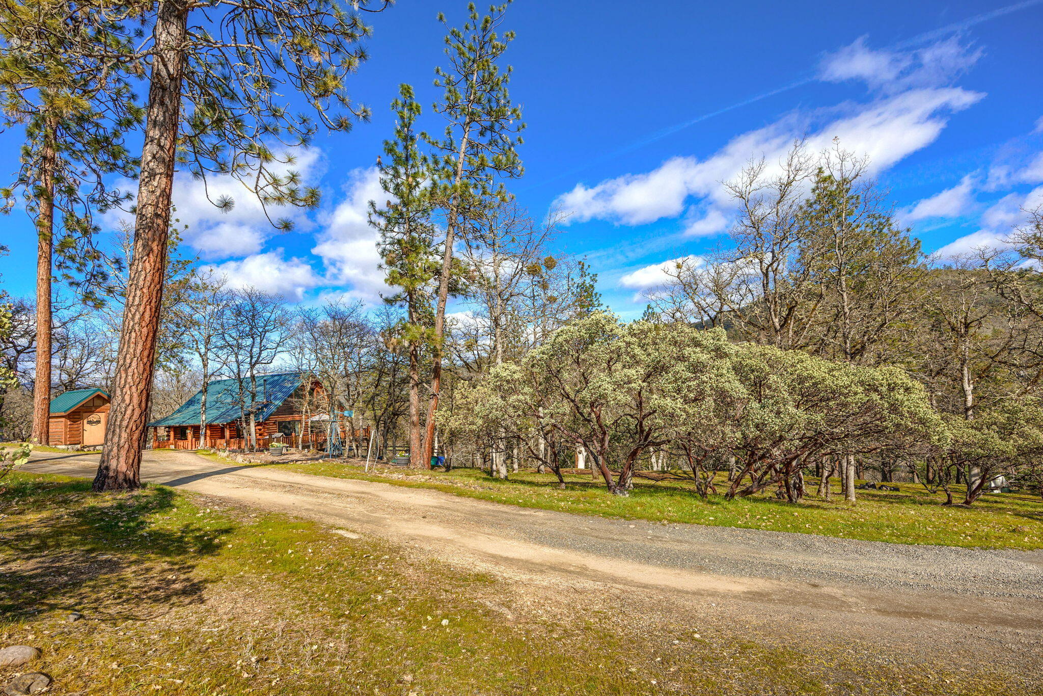 336 Rene Drive Shady Cove, OR 97539 - Photo 6 of 55 6