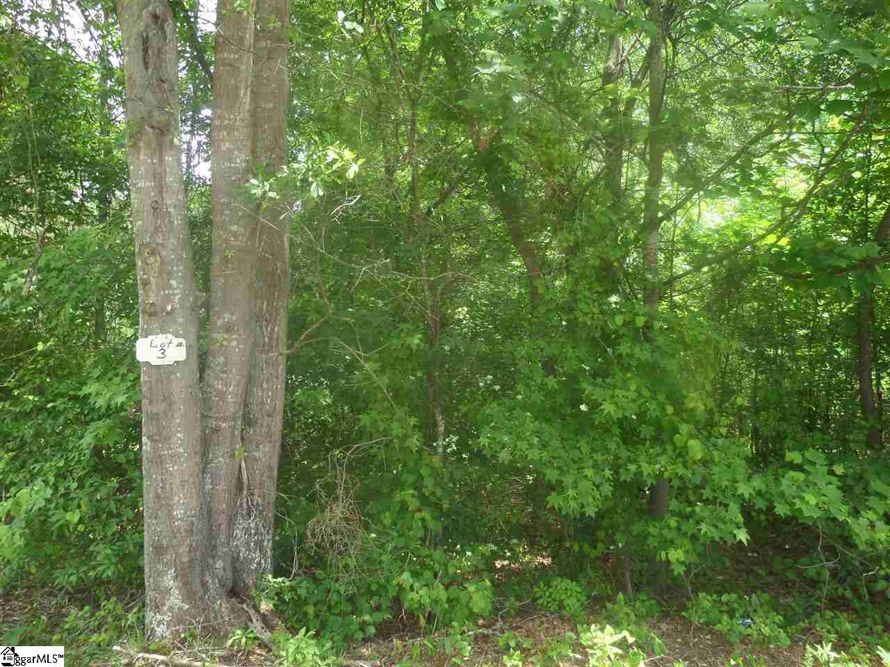 Aiken Chapel Road Taylors, SC 29687 - Photo 2 of 3 Gallery Image 2