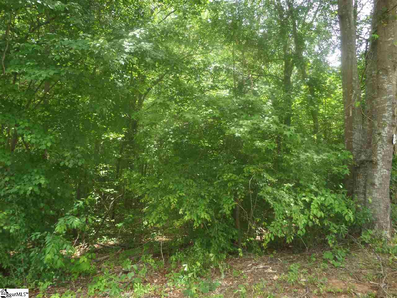 Aiken Chapel Road Taylors, SC 29687 - Photo 3 of 3 Gallery Image 3