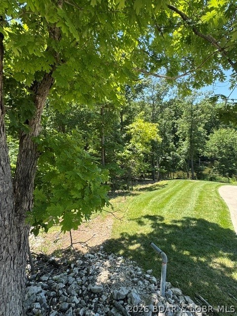 Four Columbine Road Four Seasons, MO 65049 - Photo 11 of 12