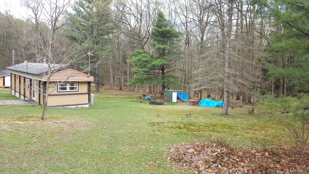409 Jenkins Road Tionesta, PA 16353 - Photo 12 of 12