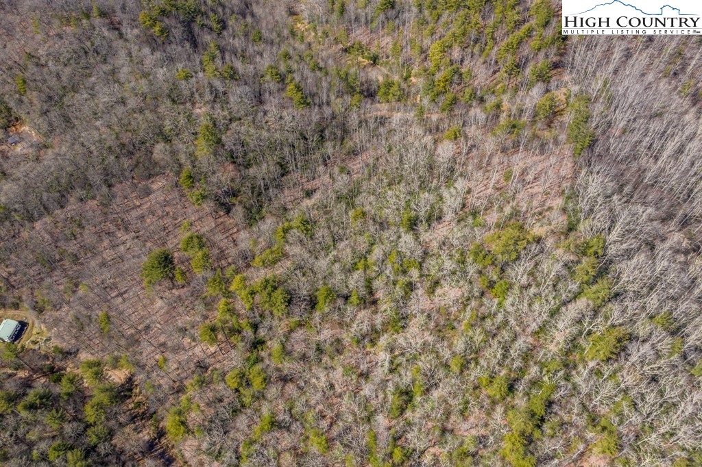 276 Mission Ridge Road Banner Elk, NC 28604 - Photo 8 of 10 Gallery Image 8