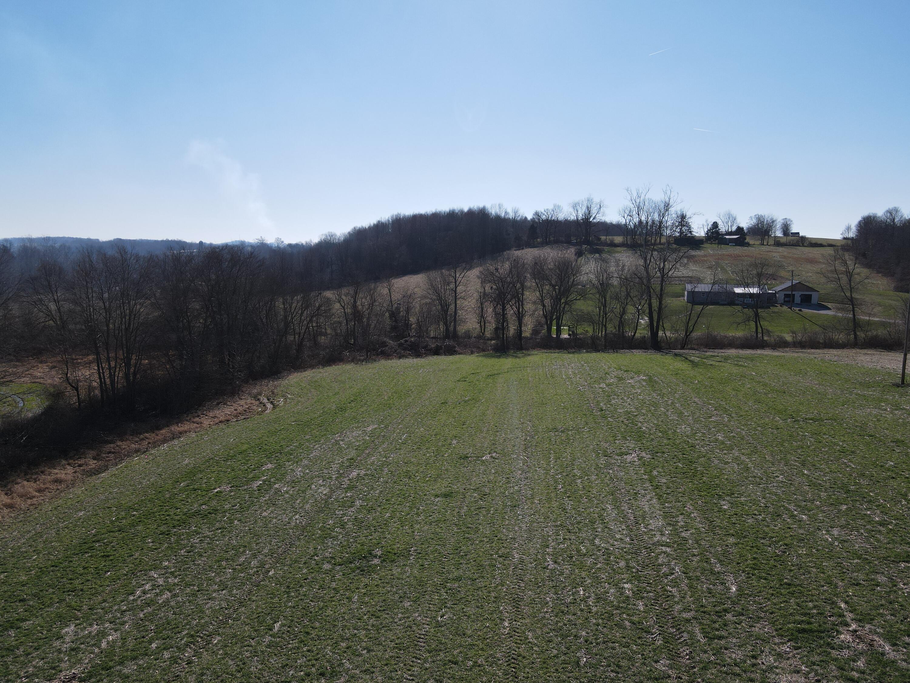 529 Pioneer Road, Unit TRACT 1 Brodhead, KY 40409 - Photo 6 of 9 E38F4063-1C5E-475D-A887-89E3C7E781C7