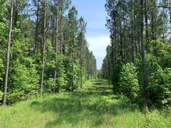 $458,845 | . Athens Trail, Wesson, MS 39191