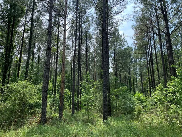 $458,845 | . Athens Trail, Wesson, MS 39191