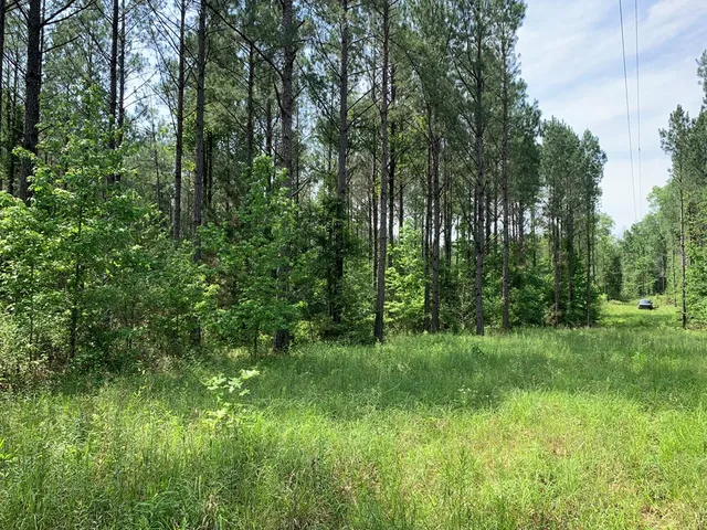 $458,845 | . Athens Trail, Wesson, MS 39191