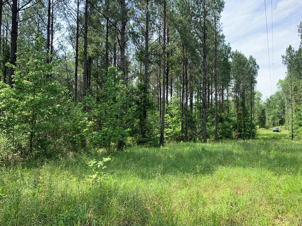. Athens Trail Wesson, MS 39191 - Photo 12 of 17 Photo 12