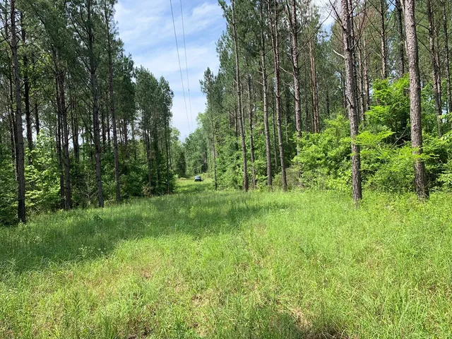 $458,845 | . Athens Trail, Wesson, MS 39191
