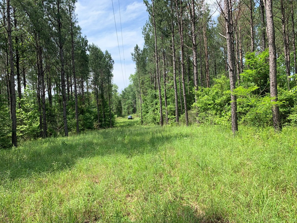 . Athens Trail Wesson, MS 39191 - Photo 13 of 17 Photo 13