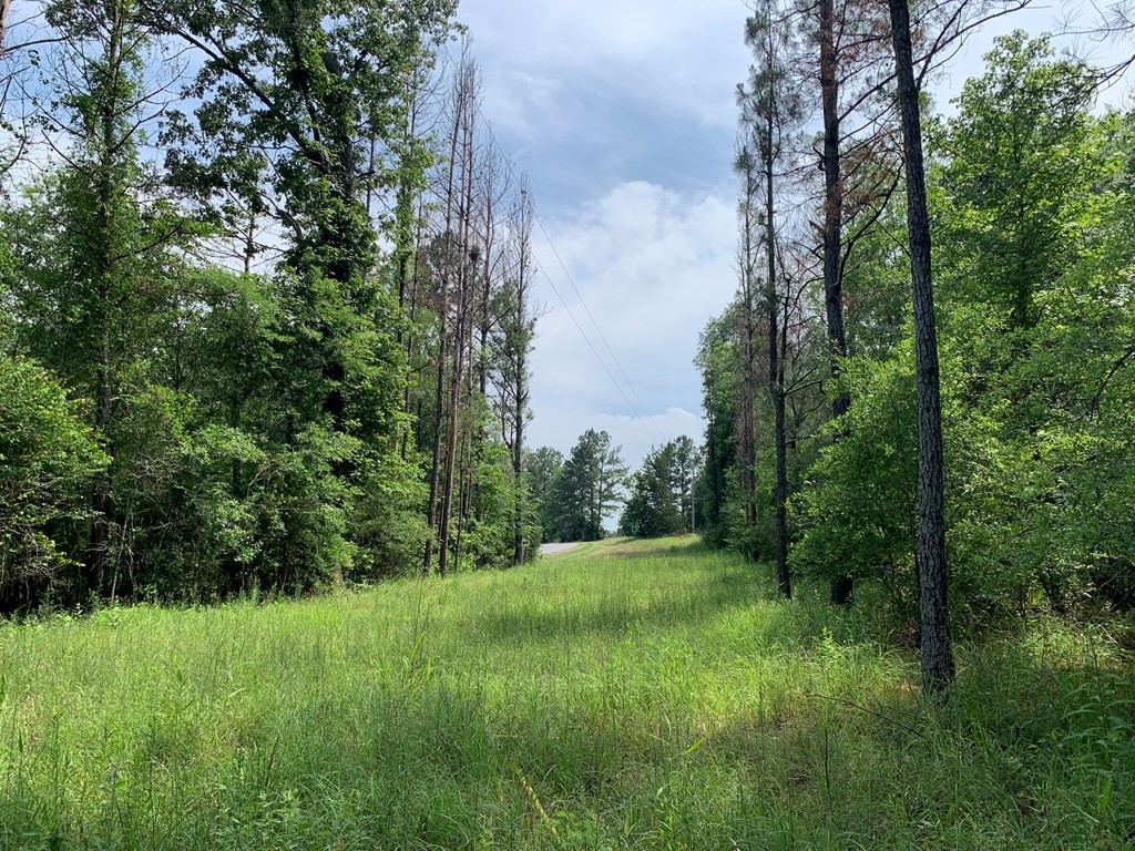 . Athens Trail Wesson, MS 39191 - Photo 14 of 17 Photo 14