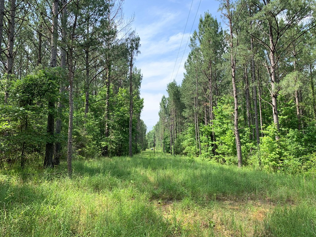 . Athens Trail Wesson, MS 39191 - Photo 15 of 17 Photo 15