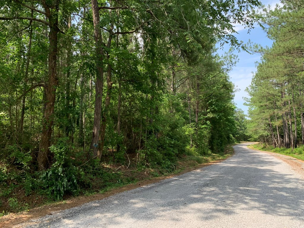 . Athens Trail Wesson, MS 39191 - Photo 16 of 17 Photo 16