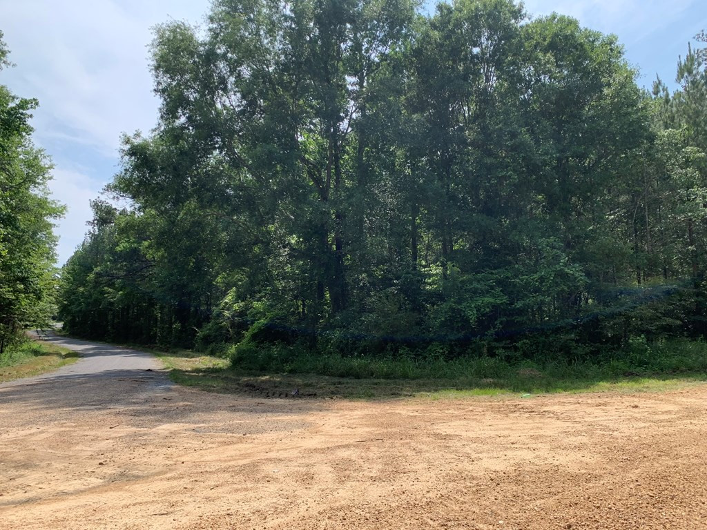. Athens Trail Wesson, MS 39191 - Photo 17 of 17 Photo 17