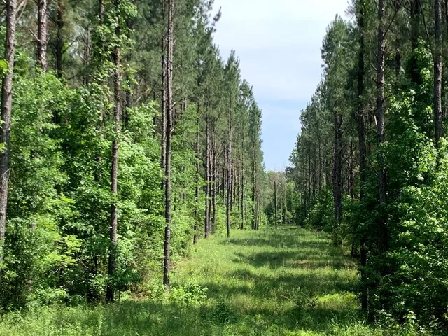 $458,845 | . Athens Trail, Wesson, MS 39191