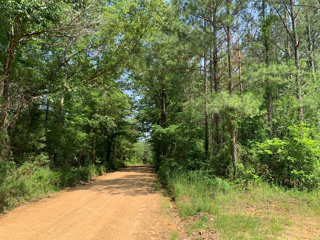 . Athens Trail Wesson, MS 39191 - Photo 4 of 17 Photo 4