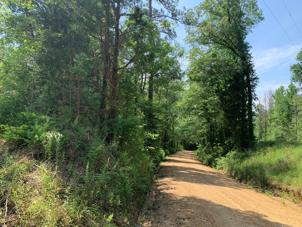 . Athens Trail Wesson, MS 39191 - Photo 5 of 17 Photo 5