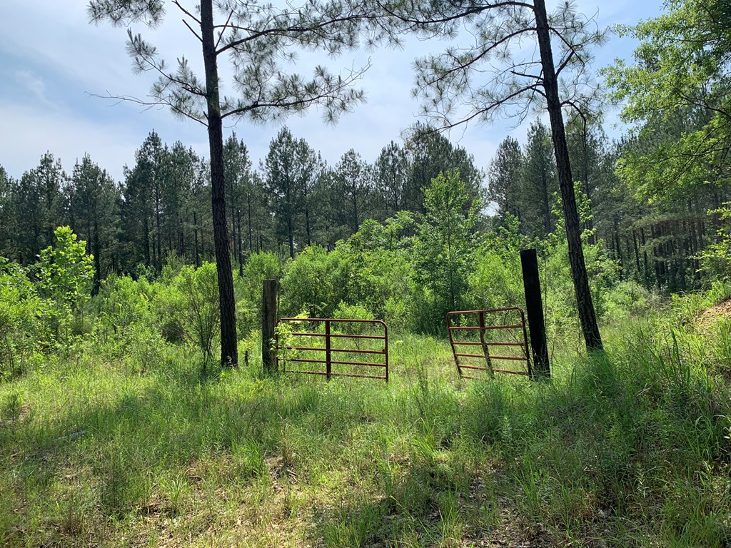 . Athens Trail Wesson, MS 39191 - Photo 6 of 17 Photo 6