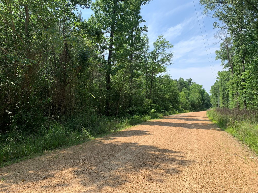 . Athens Trail Wesson, MS 39191 - Photo 7 of 17 Photo 7