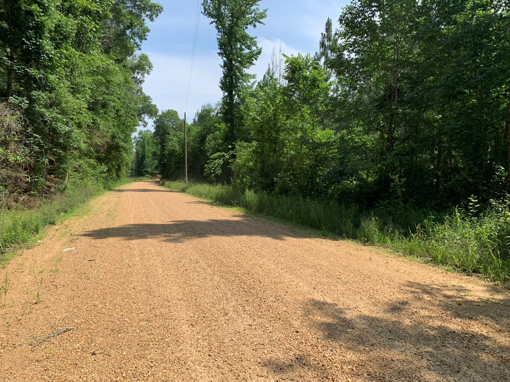 . Athens Trail Wesson, MS 39191 - Photo 8 of 17 Photo 8