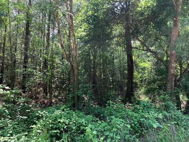 $458,845 | . Athens Trail, Wesson, MS 39191