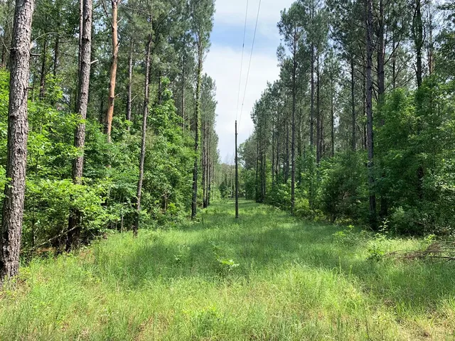 $458,845 | . Athens Trail, Wesson, MS 39191