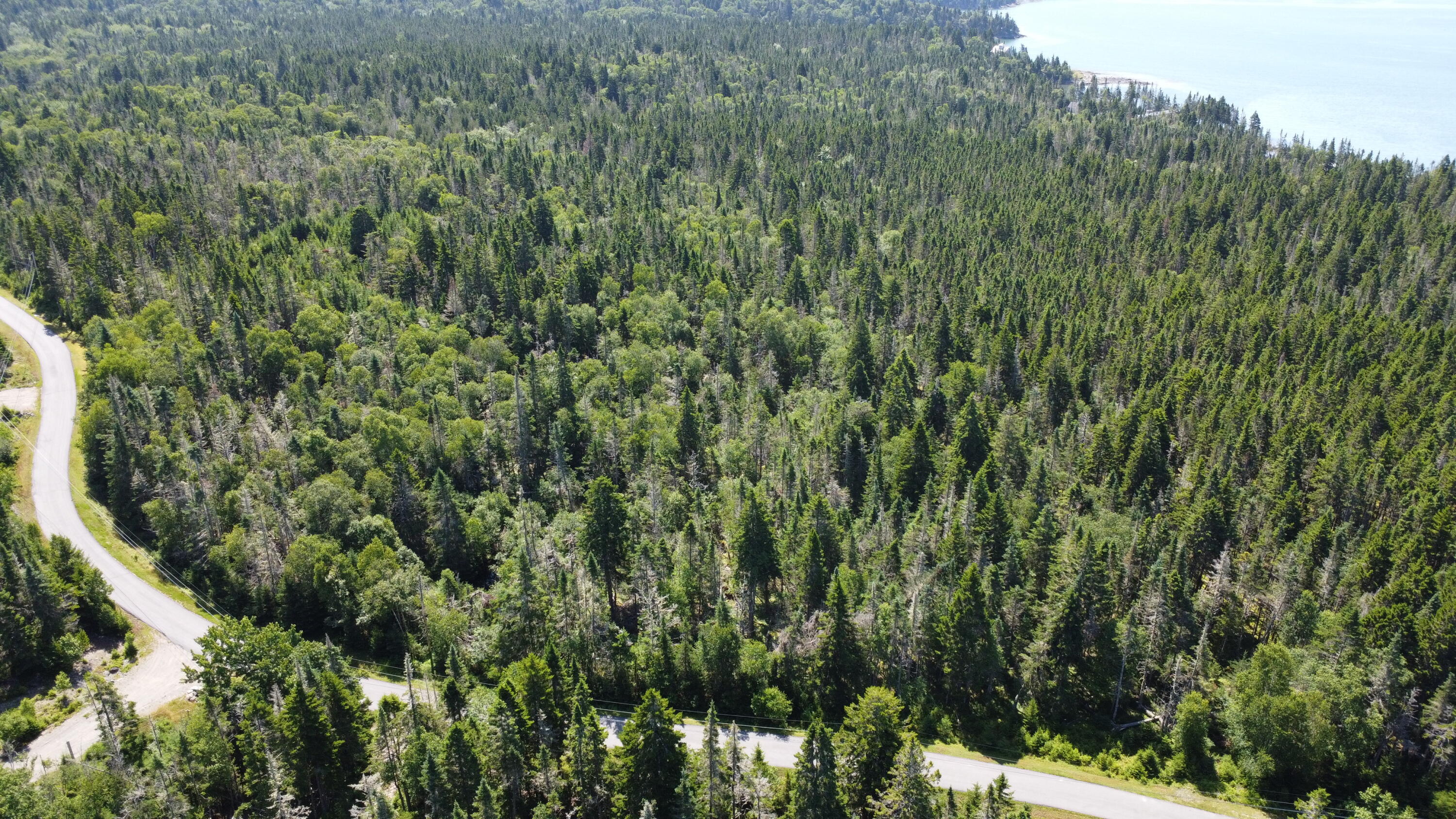29 Yoho Head Road Machiasport, ME 04655 - Photo 4 of 12 DJI_0716