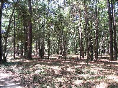 4 Palmetto Pointe Road, Unit AC Edisto Island, SC 29438 - Photo 2 of 7 Additional Photo