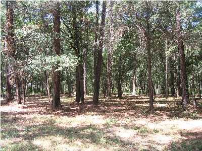 4 Palmetto Pointe Road, Unit AC Edisto Island, SC 29438 - Photo 7 of 7 Additional Photo